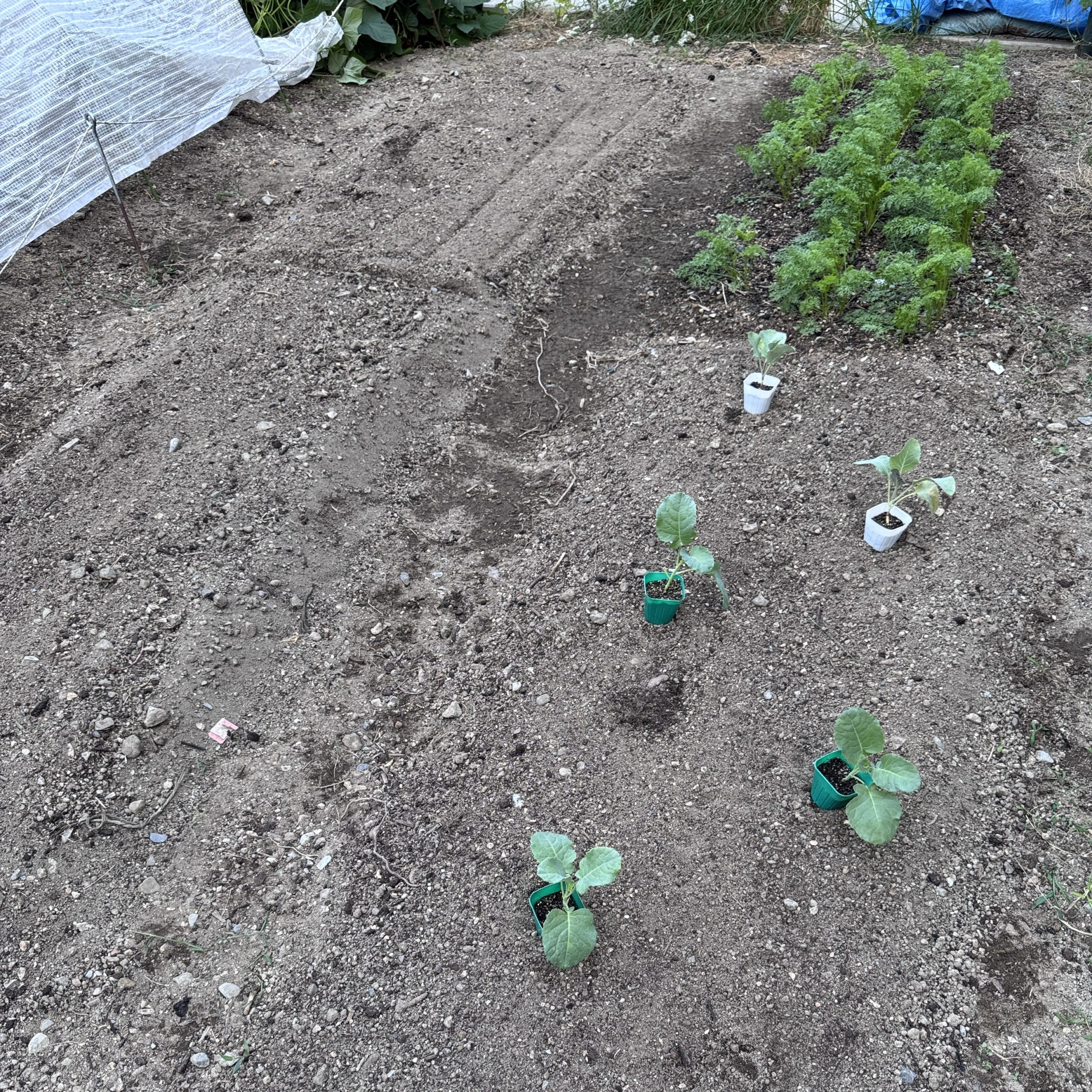 家庭菜園サポート　～あおぞらファーム貸農園～